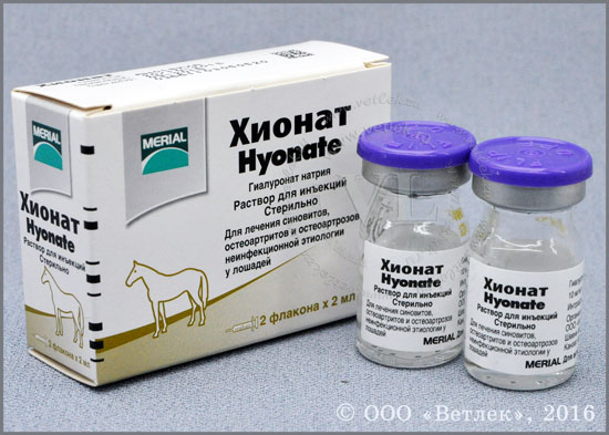 Хионат, уп. 2 фл. по 2 мл. (Цена за 1 флакон )Препарат на основе гиалуроната натрия для лечения и профилактики заболеваний суставов лошадей и собак